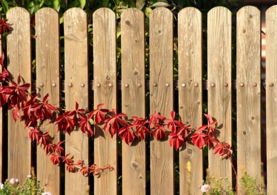 Budgeting for Fence Installation: Hidden Costs and Tips to Save