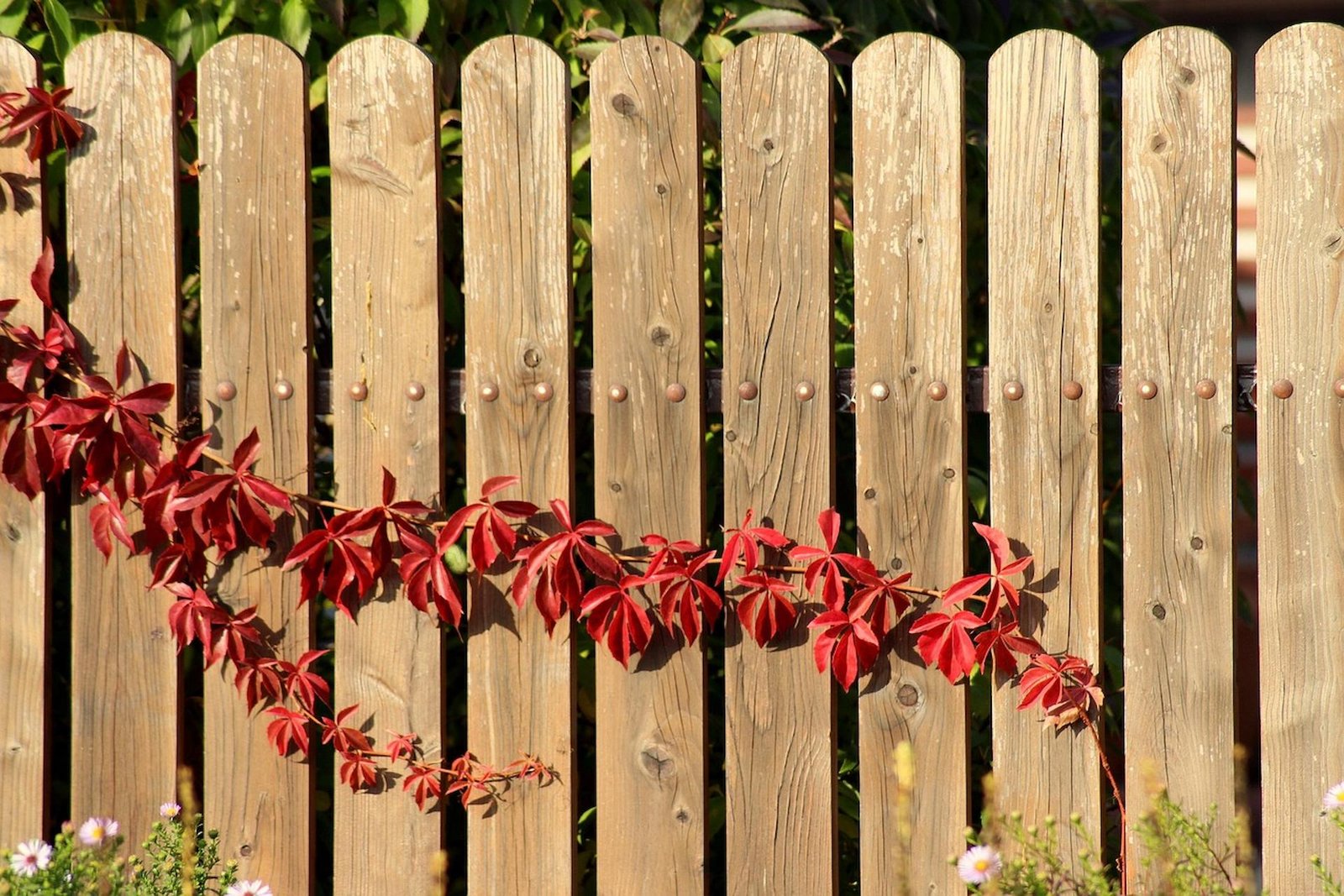 Budgeting for Fence Installation: Hidden Costs and Tips to Save